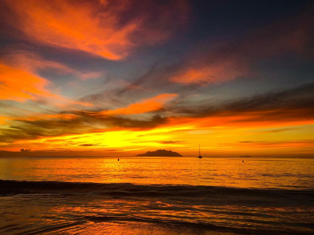 Whispering Palms Διαμέρισμα Μπελ Όμπρε Εξωτερικό φωτογραφία